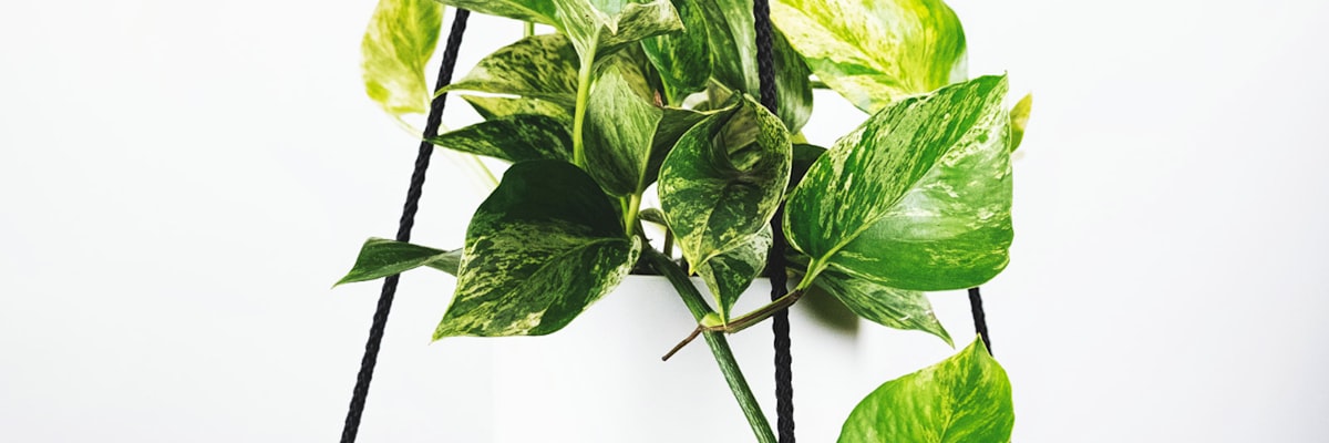 足球专题报道 - 欧冠决赛前瞻与球队战术分析