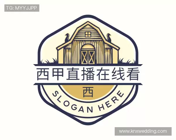 发现西甲直播在线看